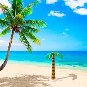 R HORSE Inflatable Palm Tree Flamingo Banana Beach Ball Parrot Beach Pool Toys for Tropical Hawaiian Luau Party Summer Pool Beach Party Decorations R HORSE Inflatable Palm Tree Flamingo Banana Beach Ball Parrot Beach Pool Toys for Tropical Hawaiian Luau Party Summer Pool Beach Party Decorations