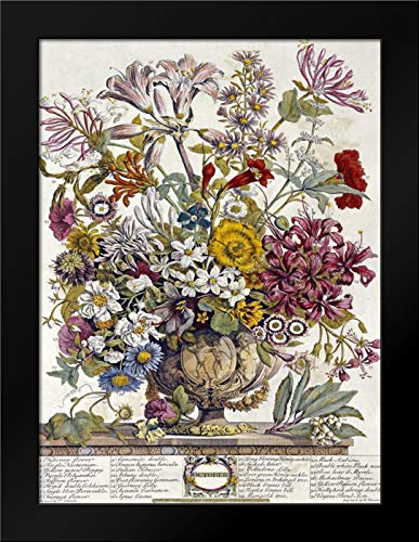 Amazon.com: October - Twelve Months of Flowers Framed Art Print by