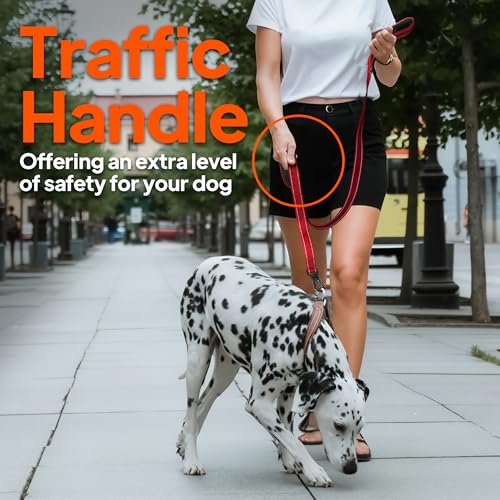 TwoEar 6FT 1IN Strong Green Dog Leash with 2 Padded Handles, Traffic Handle Extra Control, Comfortable Soft Dual Handle, Auto Lock Hook, Reflective Walking Lead for Small Medium and Large Dogs - Image 7