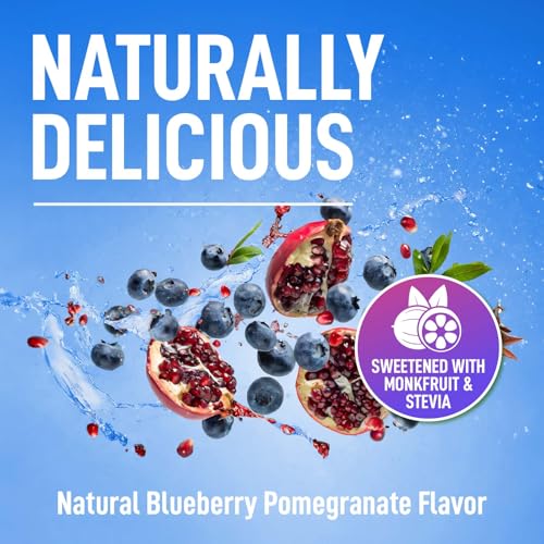 Image of Keppi Electrolytes Powder - Blueberry Pomegranate Flavor 50 Servings - No Sugar Hydration Supplement with Potassium, Magnesium, Sodium - Keto, Vegan, Fasting-Friendly, Zero Calorie Electrolyte Drink