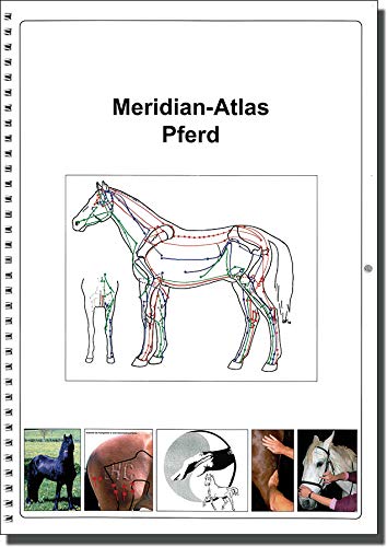 Preisvergleich Produktbild Akupunkt-Massage nach Penzel am Pferd: Meridian-Atlas Pferd