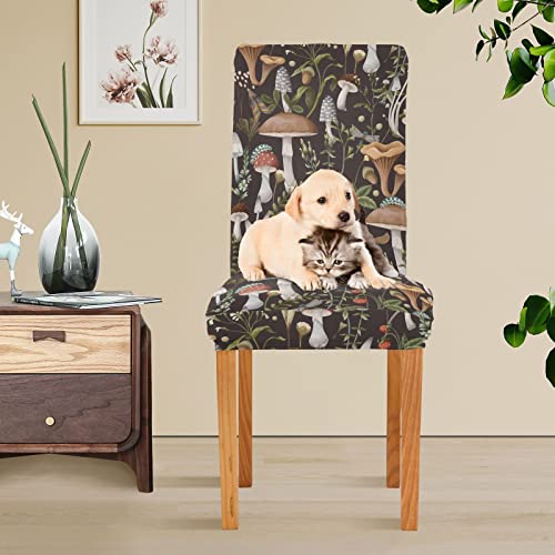 Sletend Mushroom Herb Chair Covers Set Of 4, Stretch Kitchen Chair Slipcovers Washable Removable Dining Chair Covers Protector For Dining Room, Hotel And Ceremony #TOP5