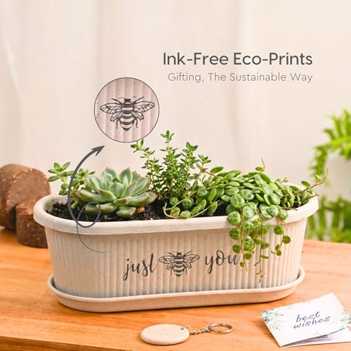 Image of Eha Earth-Friendly Printed Regalia Planters for Home Decor | 12 Inch, Pack of 2 Without Growmix | Plant Gifts Made with Rice Husk Biocomposite | Flower Pot for Living Room| Sand Castle