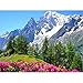 Pittura diamante 5D fai da te trapano completo paesaggio rotondo ricamo diamante vendita punto croce primavera paesaggio decorazione della parete a9 50x65 cm