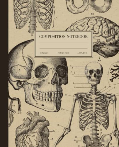 Composition Notebook College Ruled: Human Anatomy Vintage Medical Illustration | Skull Skeleton Med School Student Gift Journal | Wide Lined image 2