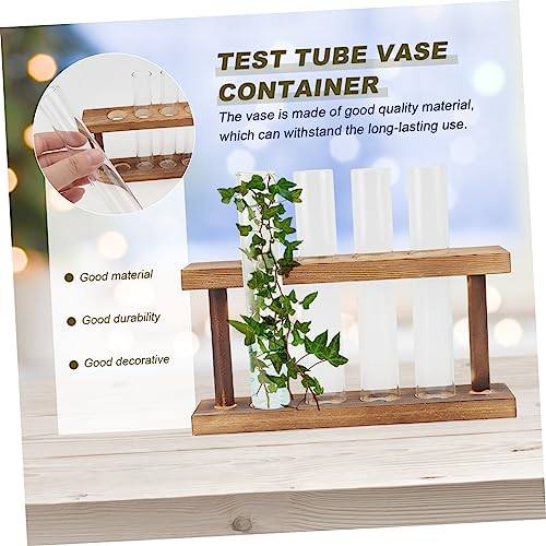 Decoración moderna para plantas acuáticas en jarrón de vidrio 6
