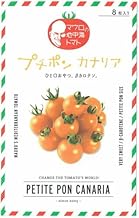 マウロの地中海トマト プチポンカナリアのタネ