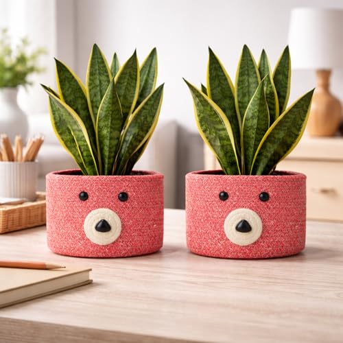 Image of Teddy Eco-Friendly Cotton Rope Basket Set of 2 (6x6 Inch) - Remote Holder for Living Room & Remote stand for Table, Makeup organisers, Jute Planter Basket & Jute Pots for Plants (Red - Combo)