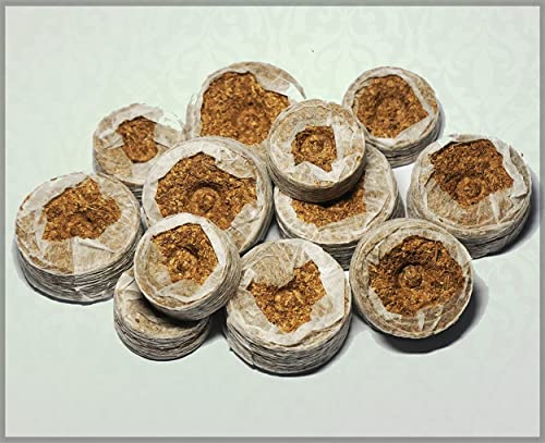 Image of Organic Netted Coco Coins /Seedling Coin /Plant Starter Plug /Coco disc /Coco Pellets /peat pellets /Hydroponics Seed Germination kit - GardenHunt (25 MM, 50)