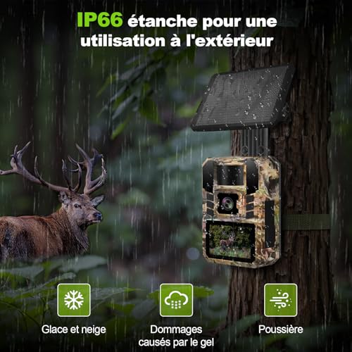 Caméra de chasse solaire 4K 64MP vision nocturne et application