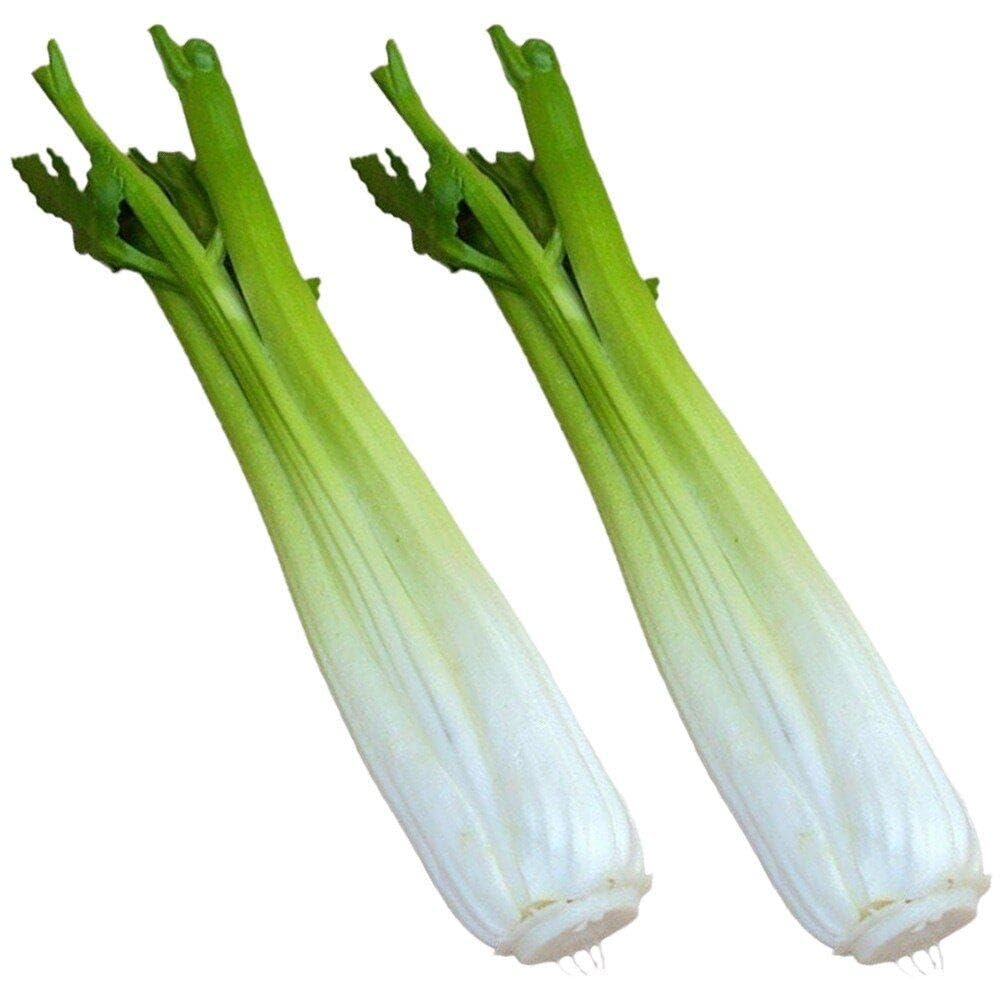 2pcs Artificial Celery Model Realistic Celery Vegetables Simulation Pu Celery Props for Home Kitchen Party Decor