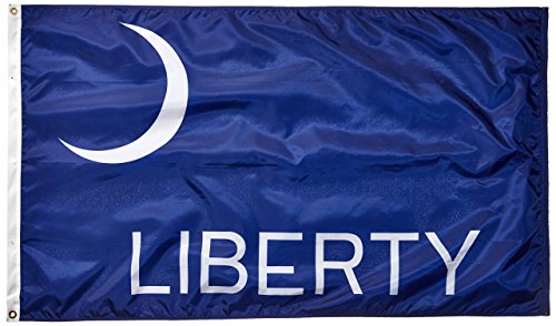 3X5 Fort Moultrie Liberty Flag Colonial American Banner