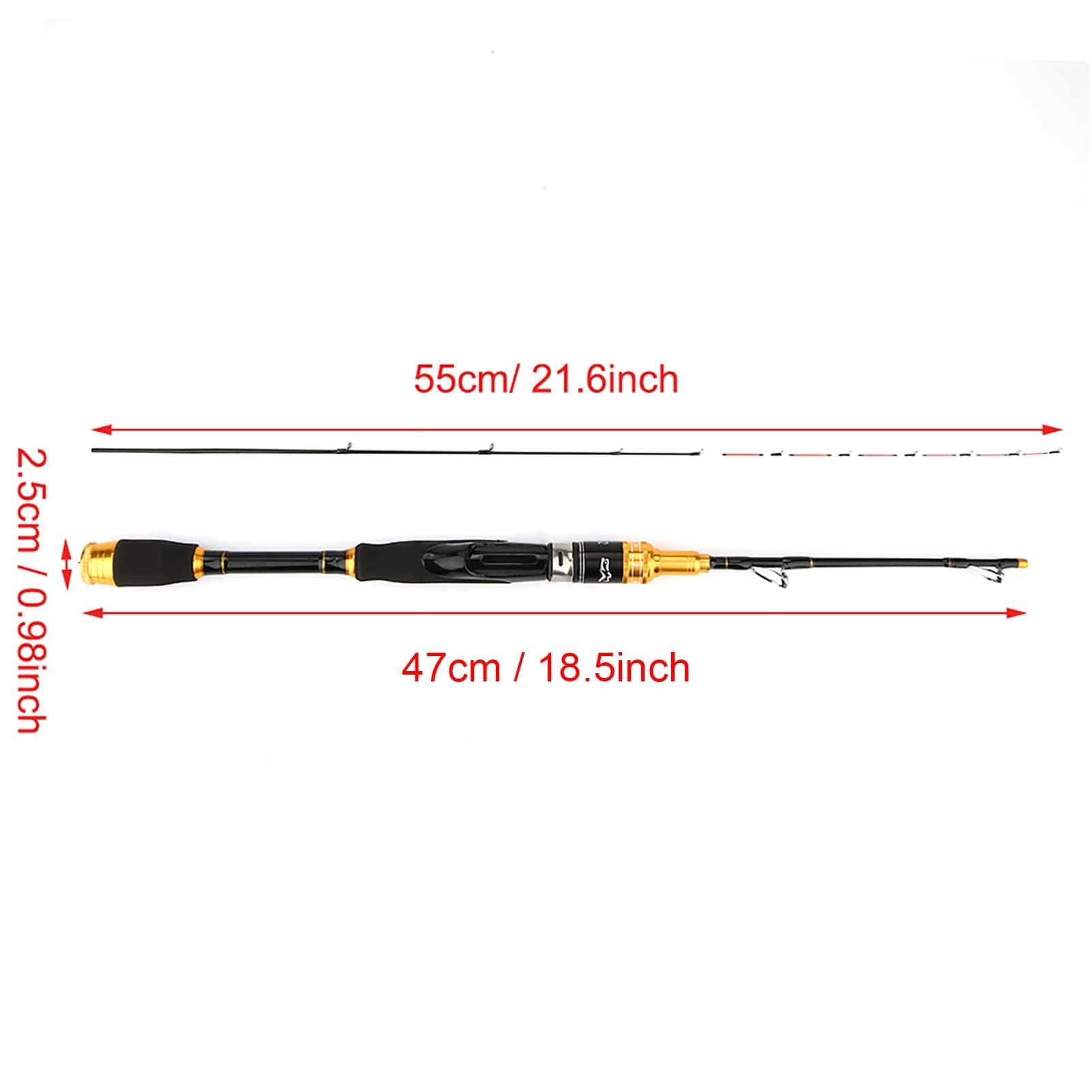 Canna da Pesca Telescopica in Fibra di Carbonio per Acqua Dolce, Canna da Pesca Retrattile da Viaggio con Accessori, Leggera e Compatta per Escursioni