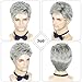 DDHAIR Men's Wig Short Silver Grey Wig Men Natural Layered Synthetic Hair Wigs for Man Male Guy Daily Halloween