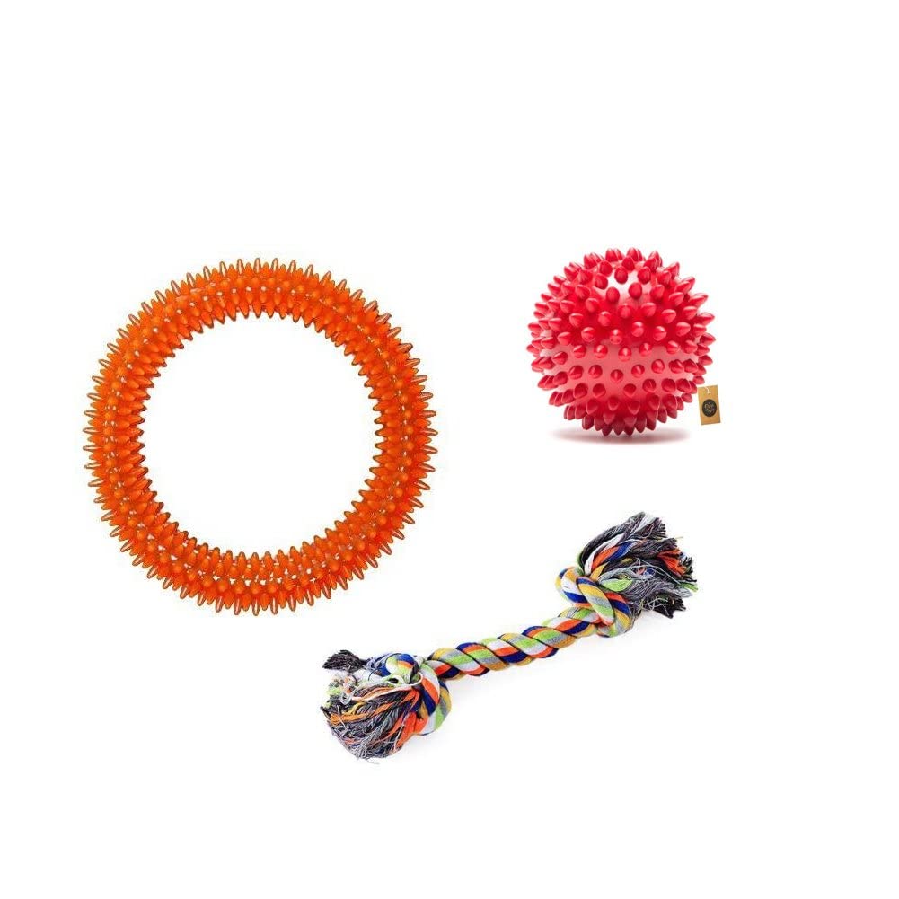 The Pets Company Rubber Dog Chew Toy Combo ( Dog Spike Ball 3" + Spike Ring Toy 6"+ Cotton Rope Bone 6") | Teething Toys for Puppies & Small Breed Dogs (B0BMLKY5WN) Amazon Price History, Amazon Price Tracker