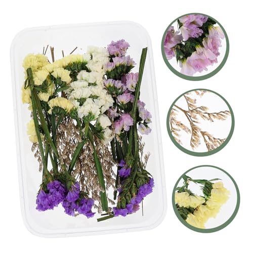 Kit Centro de Mesa con Flores Secas y Velas Flotantes miniatura 6