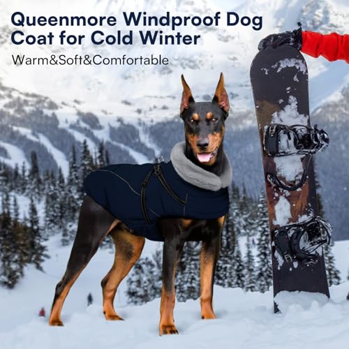 Queenmore Hunde Wintermantel Wasserdicht, Hundemantel mit Geschirr 3-Schicht Ausführung Reflektierend, Hundejacke Winter für Riesenrassen Labrador/Husky/Golden Retriever(Marineblau, 2XL)