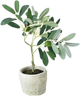 Homeford Artificial Olive Tree in Pot, 12-Inch