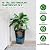 PeakPursuit 16" Tall Planters Set of 2, Outdoor?Indoor Black Planter Pots, High Front Porch Planter Pots with Drainage Holes?Water Level Monitor?Inner Bucket, Automatic Watering, Black