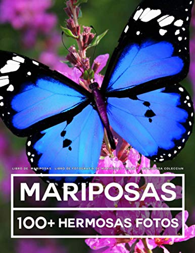 Libro De Fotografía - Mariposas - Gran y Asombrosa Colección: 100 Hermosas Fotos En Este Fantástico Libro De Fotos De Mariposas - Para Niños y Adultos