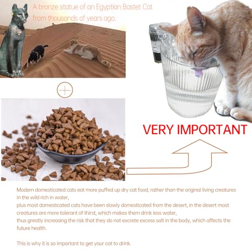 Bebedero para gato PAPIEEED 0.9L plástico miniatura 3