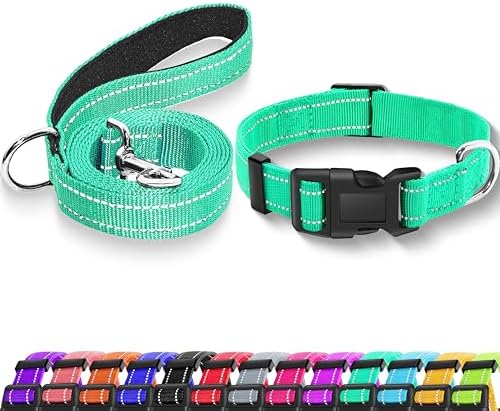 Reflective Dog Collar with Safety Locking Buckle, Adjustable Soft Breathable Nylon Collars for Small, Medium and Large Dogs(Collar+Leash XS Width 5/8″ Turquoise)