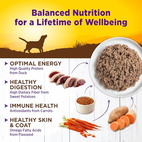 Image of Wellness Complete Health Pate Adult Canned Wet Dog Food, Wholesome Grains, Natural, Duck and Sweet Potato, 12.5 oz, Pack of 12 Cans