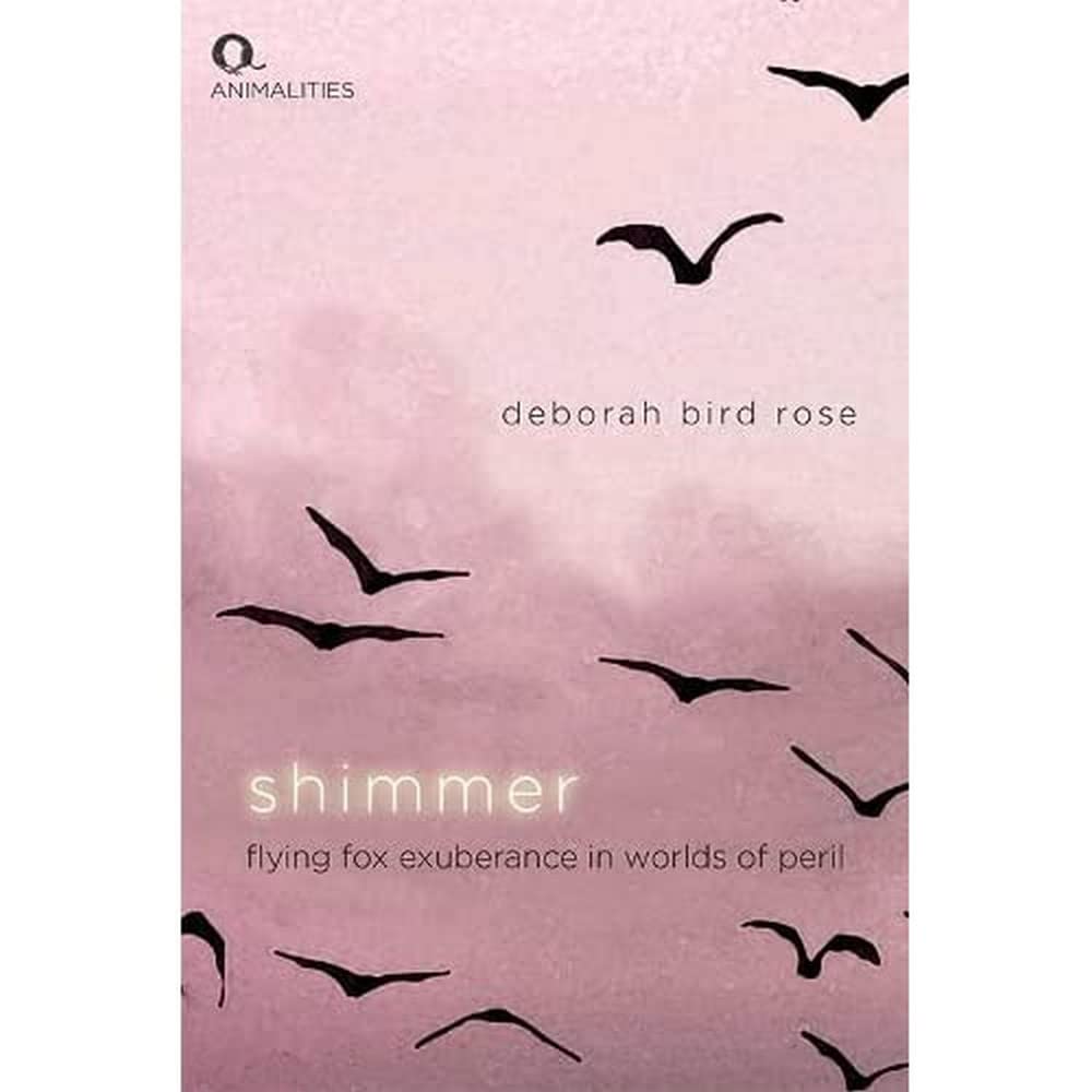 Shimmer by Deborah Bird Rose - 9781474490399