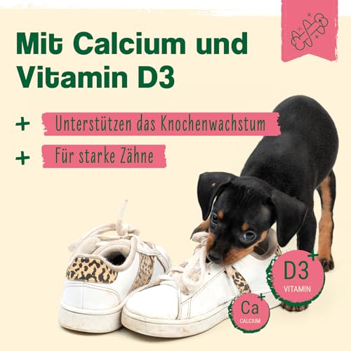 ida+ – Junior Complex 400g – Vitamine & Mineralstoffe für Hundewelpen – Gesundheitsprodukte für Hunde für ideales Wachstum von Welpen - Nahrungsergänzungsmittel Hund - Mineralien für Hunde