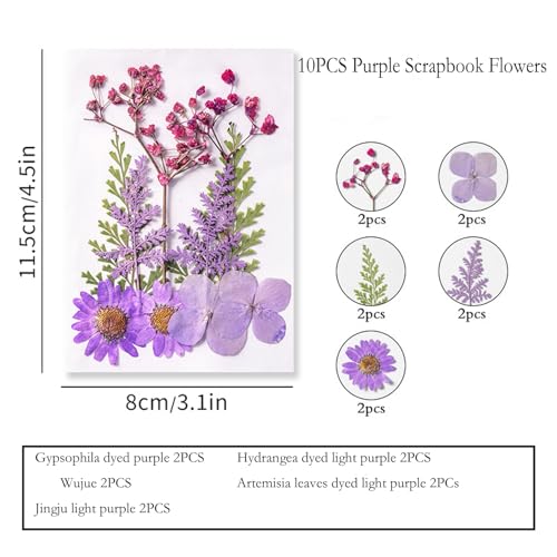 40 flores secas prensadas para resina y manualidades miniatura 7