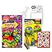Set Of 15 Teenage Mutant Ninja Turtles Play Packs Fun Party Favors Coloring Book Crayons Stickers