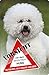 Produktbild +++ BICHON FRISÉ - Metall WARNSCHILD Schild Hundeschild Sign - BIF 08 T3