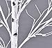 GOJOOASIS 4 Feet Lighted Birch Tree 48 LED Lights Warm White for Home Christmas Wedding Festival Party Decoration,Indoor and Outdoor Use