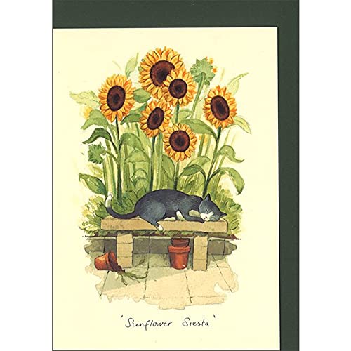 O[eBOJ[h ړI uЂ܂̉ŒQv 킢 CXg bZ[WJ[h Mtg 蕨 莆 t CMX