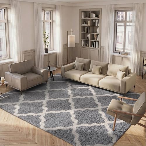 Shag Trellis Area Rug