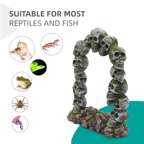 Image of relaqcc Aquarium Skull Cave Rocks, Reptile Tank Accessories, Fish Tank Decorations for Amphibians, Betta Fish, Shrimp, Hermit Crab, Leopard Gecko
