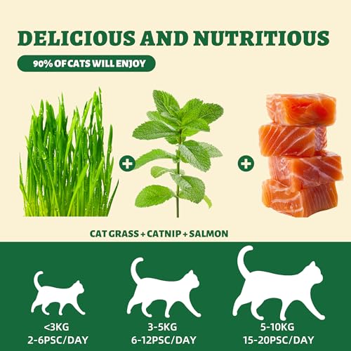 Wellix-450g16oz-Cat-Grass-Treats-Healthy-Kitten-Snacks-Natural-Salmon-Flavor-Dental-Cleaning-and-Hairball-Control-Catnip-Training-Biscuits-for-Indoor-Cats