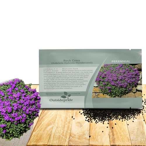 Outsidepride Hendersonii Purple Aubrieta Rock Cress Seeds - 5000 Pcs Perennial Flower Seeds, Easy to Grow, Low Maintenance, Cascading & Low Growing, for Baskets, Rock Walls, or Ground Covers