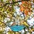 Solar Bird Bath Hanging with Fountain for Outdoors, Solar Powered Hanging Outdoor Water Fountain, Bird Bath with Solar Fountain for Garden, Patio, Yard, Deck