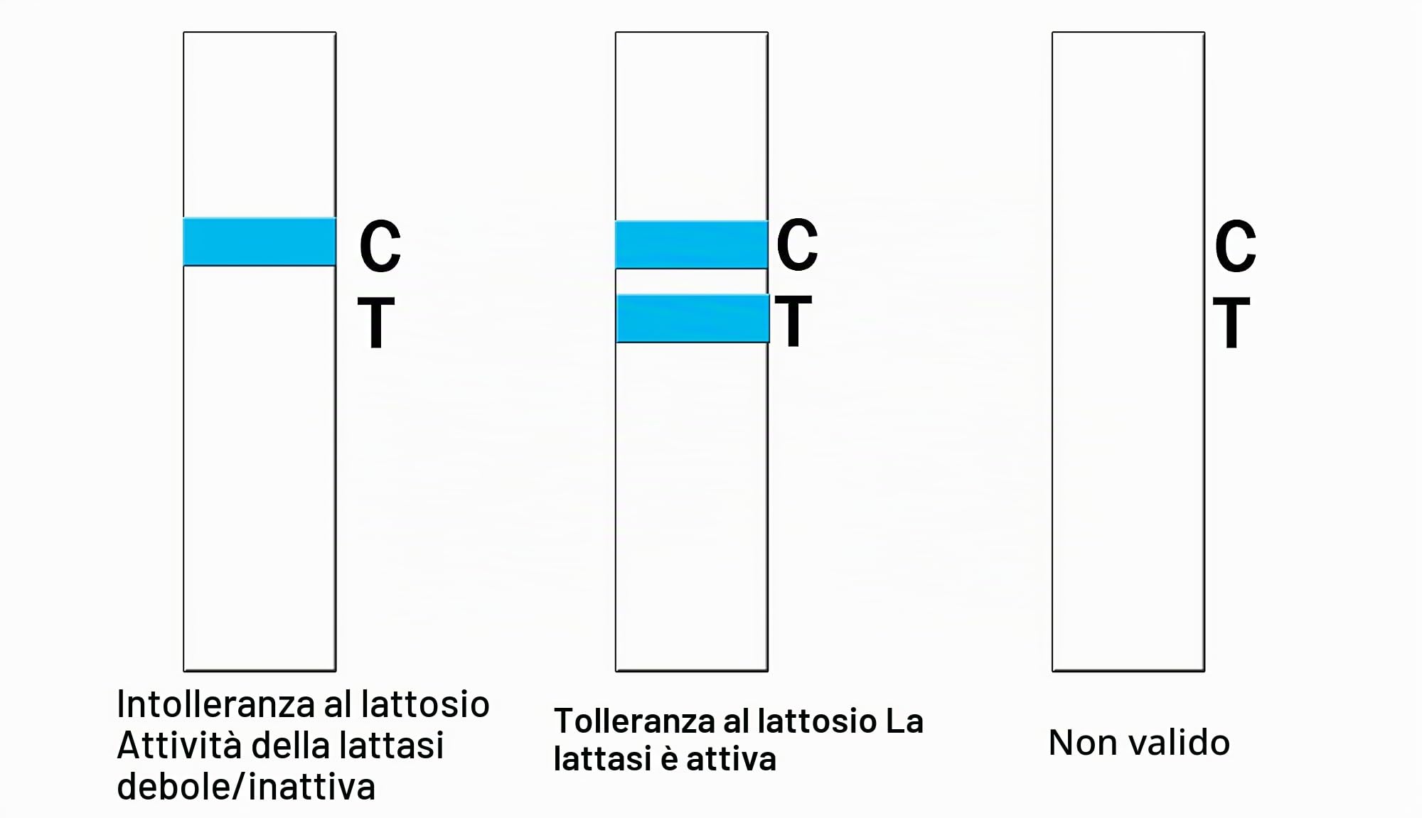 Strisce reattive per intolleranza al lattosio a casa, test di attività alla lattasi, test di sensibilità alimentare, 2 pezzi