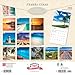 Florida Coast | 2026 12 x 24 Inch (Hanging) Monthly Square Wall Calendar | Plastic-Free | BrownTrout | USA United States of America Southeast State Nature