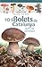 101 Bolets De Catalunya: que cal conèixer (Miniguia de camp)
