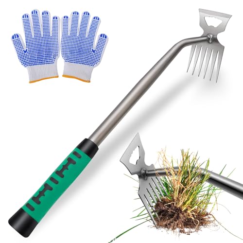 GMMG Gartenarbeit Hand Unkrautstecher 6 Zähne Unkraut Entferner Gerät Unkrautjäter mit Stiel Entwurzelungswerkzeug für Gras Graben Umpflanzen Jäten