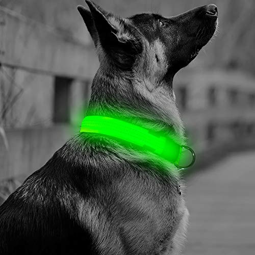 LED Dog Collar,Nylon Reflective Dog Collar, Flashing Light Pet Collar, Makes Your Pet Safe and Seen for Small Medium Large Dogs by Vizbrite (Neon Greenï¼ŒSmall)