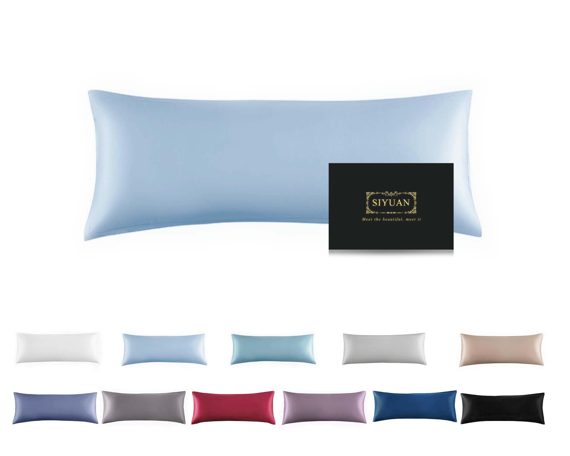 Mulberry Silk Pillowcase for Hair and Skin,Cooling Silk Pillow Case with Hidden Zipper,Allergen Proof Dual Sides Soft Breathable Smooth Silk Pillow Cover for Women (Light Blue,Body)