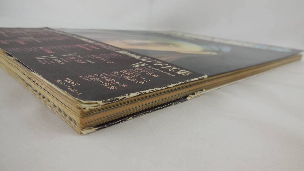 【美品】篠山紀信写真集 別冊BIG GORO 激写 第8号 篠山紀信全撮影 福原ひとみ表紙 昭和53