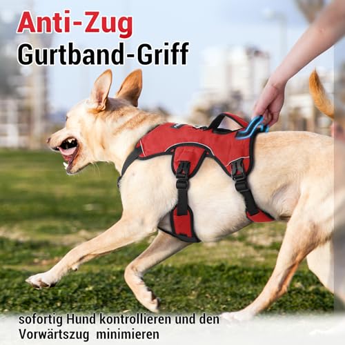 rabbitgoo Ausbruchsicheres Hundegeschirr Mittelgroße Hunde mit Griff, Anti Zug Sicherheitsgeschirr Hund Atmungsaktiv, Verstellbare Brustgeschirr, Gepolstertem Hundeweste, Panikgeschirr, Rot S