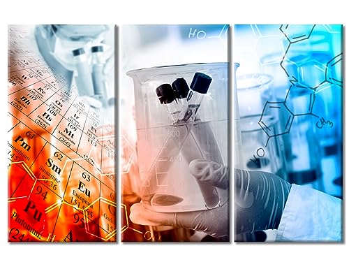 Image of Chemical Equations Laboratory Research Concept Canvas Wall Art Clinical Laboratory Wall Art for Living Room 3 Panels Wall Pictures Giclee Print Gallery Packaging Artwork Ready to Hang (42 inchWx28 inchH)