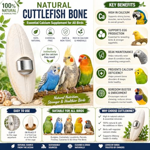 Image of The Pets Company Natural Cuttlefish Bone for Birds | High Calcium Supplement | for Finches, Budgies, Cockatiels, Lovebirds, Conures, African Grey Parrots, Macaws, Cockatoos & All Pet Birds - 100 GMS