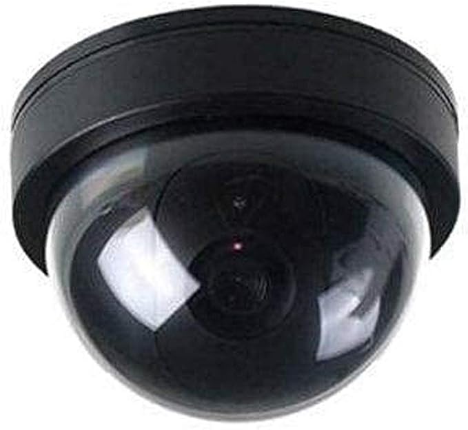 Rainberg Dummy Dome CCTV Security Camera with Flashing LED Indoor Outdoor Fake Fixure for Home